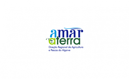 WORKSHOP «Dinamização de CCA e Estratégias Alimentares Territoriais» 21 de outubro 2019, Oeiras