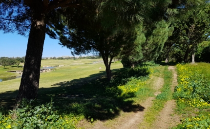 VILAMOURA NATURE RUN PROMETE ANIMAR SÁBADO DE PÁSCOA