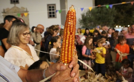 «A Nossa Cultura» volta a sair à rua na Mexilhoeira Grande 