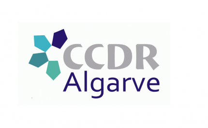 CONSELHO REGIONAL DA CCDR ALGARVE PARTICIPA NA CONSULTA PÚBLICA DO PLANO FERROVIÁRIO NACIONAL