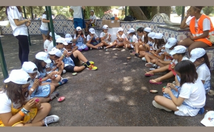 Campanha “Floresta Silenciosa” | «Silent Forest»