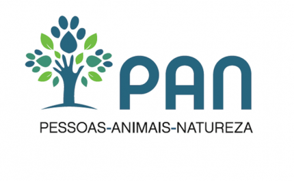 PAN pede suspensão do programa «Dolphins with Stars» 