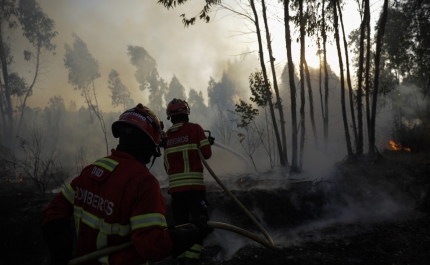 Incêndios: Habitações evacuadas devido a progressão das chamas em Odemira