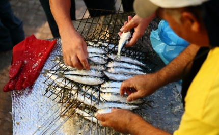 FESTAS DO FRANGO, DA SARDINHA E DA TERRA E DO PETISCO ANIMAM O PALADAR DE AGOSTO EM ALBUFEIRA 