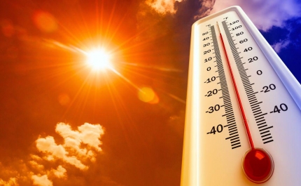 Mais de trinta concelhos de seis distritos do país com risco máximo de incêndio