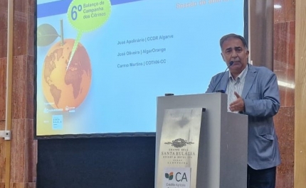 AGRICULTURA: UM ATIVO ESTRATÉGICO PARA O ALGARVE