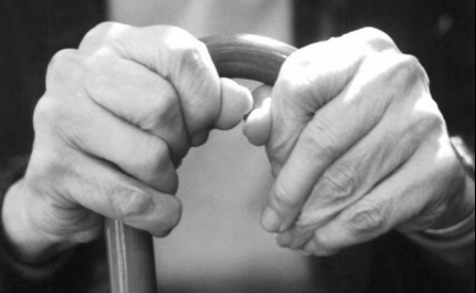 : Instituto Piaget de Silves promove o 