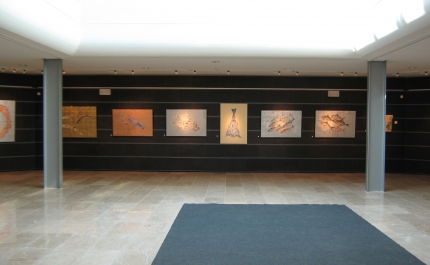 Biblioteca de Olhão assinala Dia Mundial  dos Oceanos com exposição Sea Change