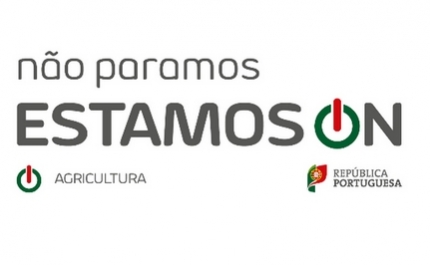 MINISTRA DA AGRICULTURA DESTACA A RESILIÊNCIA DO SETOR DO VINHO