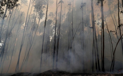 Incêndios: Fogo no concelho de Castro Marim dominado às 10:20