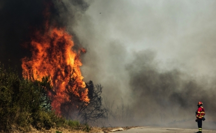 Sete concelhos de três distritos em perigo máxmo de incêndio