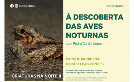 Criaturas na Noite 2 – À Descoberta das Aves Noturnas