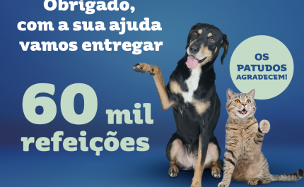 Intermarché angaria 60 mil refeições para  animais com campanha «Amiga-me»