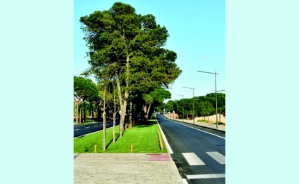 AVENIDA DO ATLÂNTICO EM QUARTEIRA VAI SER INAUGURADA COM A PRESENÇA DE SECRETÁRIO DE ESTADO