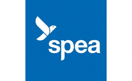 SPEA pede chumbo de eólica no nordeste algarvio por impacto ambiental grave