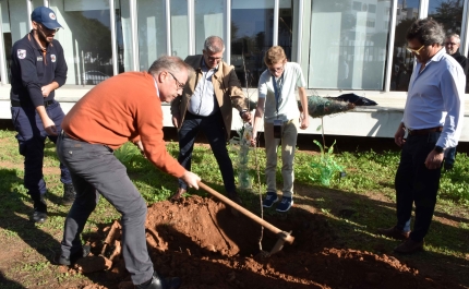 LOULÉ COMEMORA AO DIA INTERNACIONAL DA FLORESTA AUTÓCTONE COM PLANTAÇÃO EM QUARTEIRA