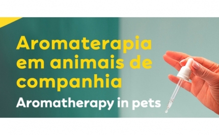 MAR Shopping Algarve lança workshop de aromaterapia para animais de estimação 