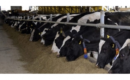 IX Jornadas de Alimentação Animal realizam-se em formato online a 17 de Setembro
