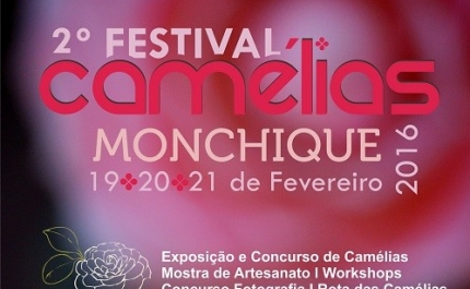 Monchique prepara o 2º Festival das Camélias