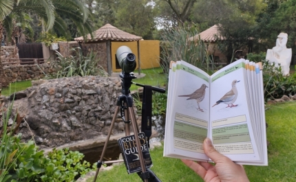 ÚLTIMAS INSCRIÇÕES PARA O CURSO DE OBSERVAÇÃO DE AVES