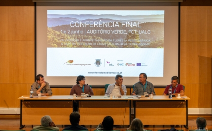 Investigadores defendem que não há futuro sem floresta