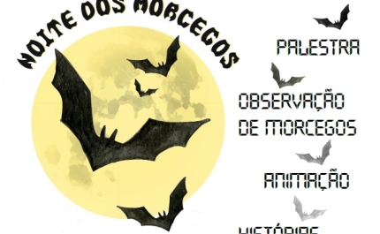 Noite de Morcegos em Alte