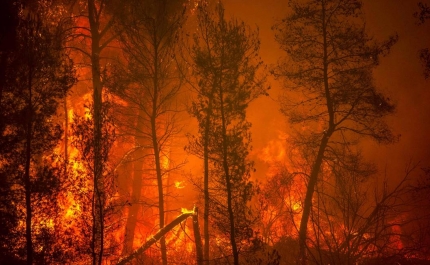 Incêndios: Fogo em Castro Marim já passou para Tavira e obriga a retirar mais pessoas de casa