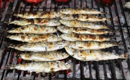 Mesmo sem festival, a Sardinha continua a ser Rainha em Portimão  