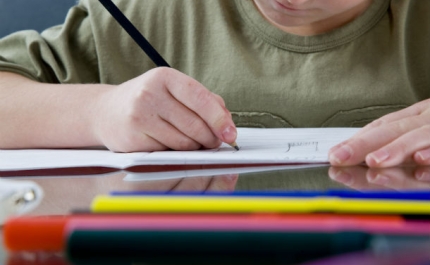 Número de alunos do secundário em cursos vocacionais pode triplicar em 2015-2016