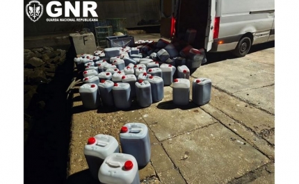 Operações da GNR de norte a sul travam redes marítimas de droga: 1 detido e apreendidas 9 viaturas, 2 armas de guerra e cerca de 10 000 litros de combustível