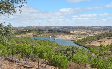Ministério da Agricultura e Mar aprova transferência de mais quatro aproveitamentos hidroagrícolas para gestão da Associação de Regantes do Sotavento