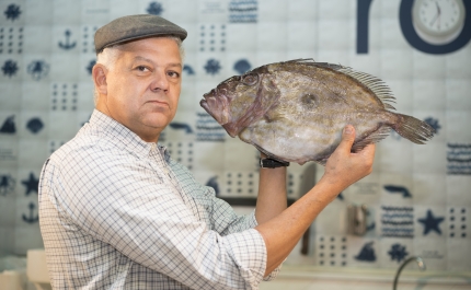 Arte e Gastronomia marcam o início do programa 365 no Museu de Portimão