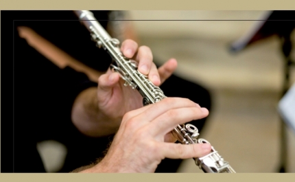 PADERNE APRESENTA MÚSICA DE CÂMARA PELA ORQUESTRA CLÁSSICA DO SUL   