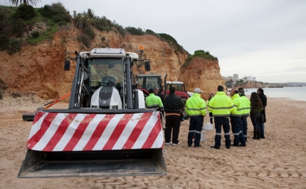 O Município de Lagoa acautela os riscos profissionais dos seus funcionários em trabalho de maquinaria