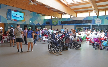 Zoomarine celebra o Dia Mundial do Sorriso com mais de 700 crianças e jovens de instituições de solidariedade social do Algarve