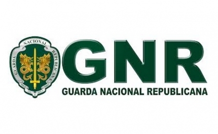 77 autos de contraordenação por caravanismo ilegal