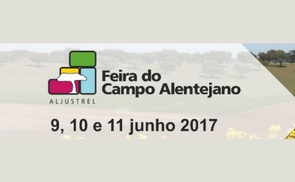 Pedro Abrunhosa & Comité Caviar e Diogo Piçarra são os artistas convidados da XVII Feira do Campo Alentejano 