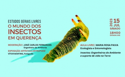  O MUNDO DOS INSECTOS, EM QUERENÇA