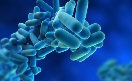 Legionella detetada em centro de saúde de Vila Real de Santo António