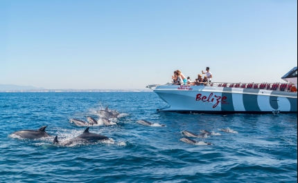 AlgarExperience reforça presença na Marina de Albufeira com aquisição da X Ride