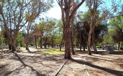 Faro | Aprovadas medidas do PAN que visam a proteção ambiental da cidade