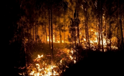 Incêndios: Mais de 180 operacionais e cinco meios aéreos combatem fogo em Silves