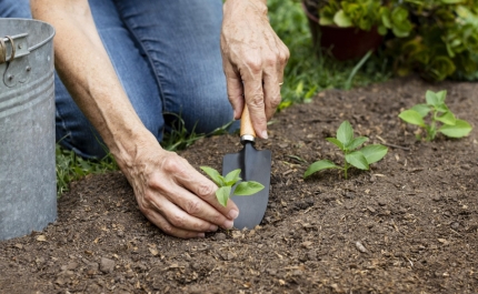 Calendário lunar 2026: fases da lua e como influenciam a rotina