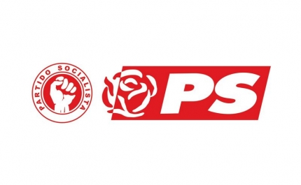 Quando os factos deixam de interessar, sobra apenas a política da insinuação