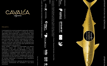 CAVALA ALGARVIA EM DESTAQUE NO MERCADO MUNICIPAL DOS CALIÇOS