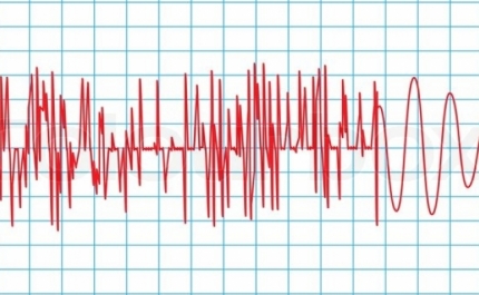 Proteção Civil realiza exercício para avaliar resposta em caso de sismo