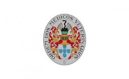 Ordem dos Médicos Veterinários disponibiliza ajuda a animais vítimas do incêndio de Pedrógão Grande