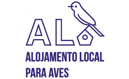 O projeto «Alojamento Local para Aves» já começou a dar os primeiros voos 