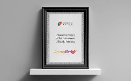 Animalife reconhecida como Entidade de Utilidade Pública pelo Estado Português