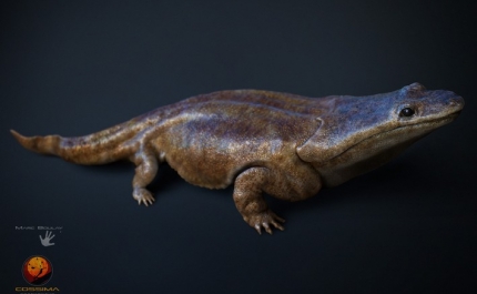 «ALGARVE NO TEMPO DOS DINOSSAUROS»: DESCOBERTA DE ANFÍBIO VAI SER TEMA DE CONFERÊNCIA